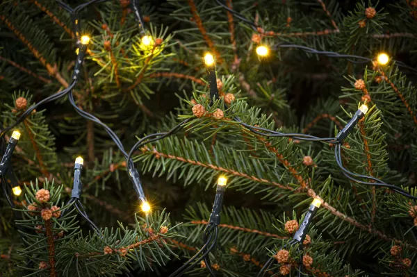 Svetelná reťaz 120 LED vnútorná