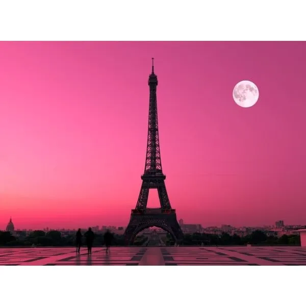 Fototapeta, Paríž, 315 x232cm