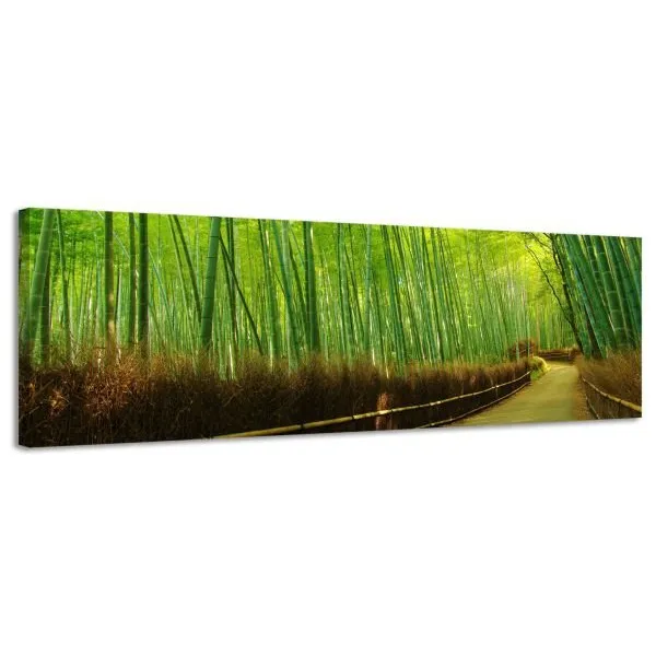 Obraz na plátne Panoráma, Bambus, 158x46cm