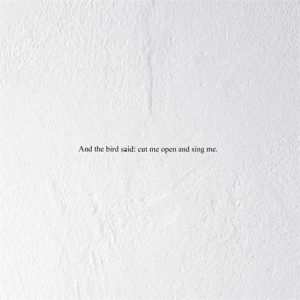 CD Prairie - AND THE BIRD SAID: CUT ME OPEN AND SING ME