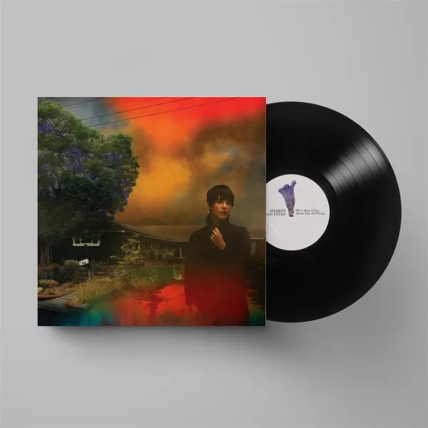 Sharon Van Etten – WE'VE BEEN GOING ABOUT THIS ALL WRONG (Vinyl)