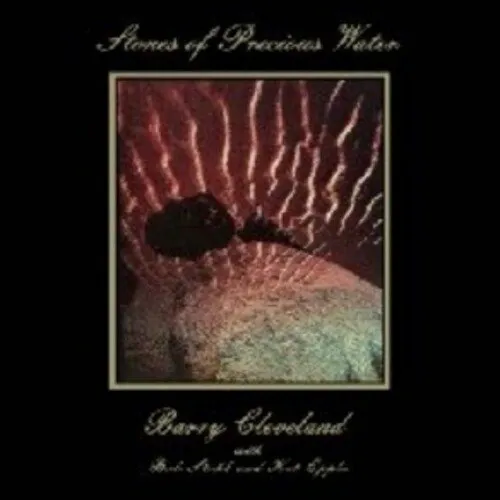 Barry Cleveland – STONES OF PRECIOUS WATER (Vinyl)