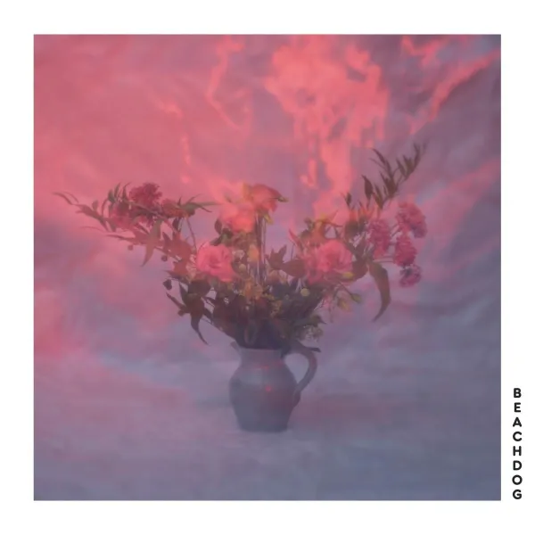 BEACHDOG (Vinyl)