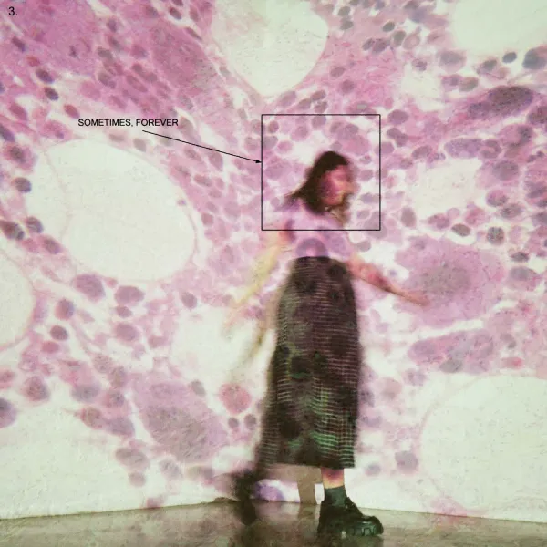 Soccer Mommy – Sometimes, forever (CD)
