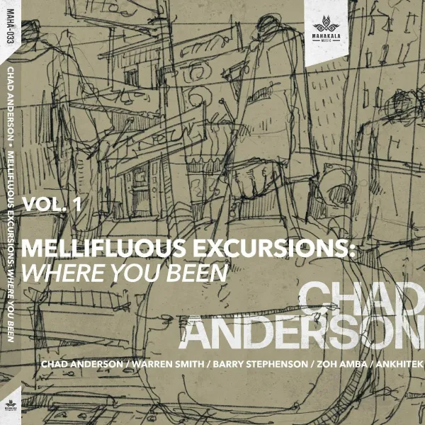 Chad Anderson – MELLIFLUOUS EXCURSIONS VOL.1: WHERE YOU BEEN (CD)