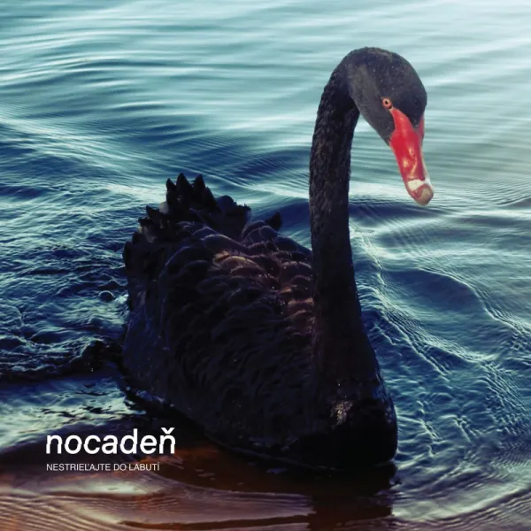 Nocadeň – Nestrieľajte do labutí (Vinyl)
