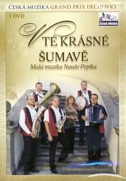 Various Artists – V té krásné Šumavě (DVD)