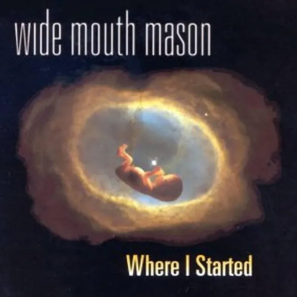 Wide Mouth Mason – WHERE I STARTED (Vinyl)