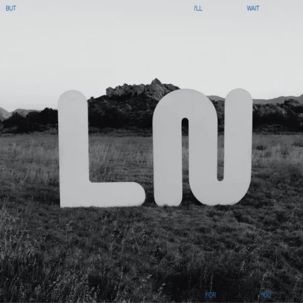 Local Natives – But I'll Wait For You (CD)