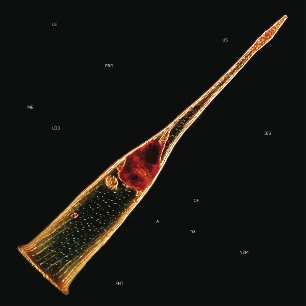 Leprous – Melodies of Atonement (Limited) (CD)