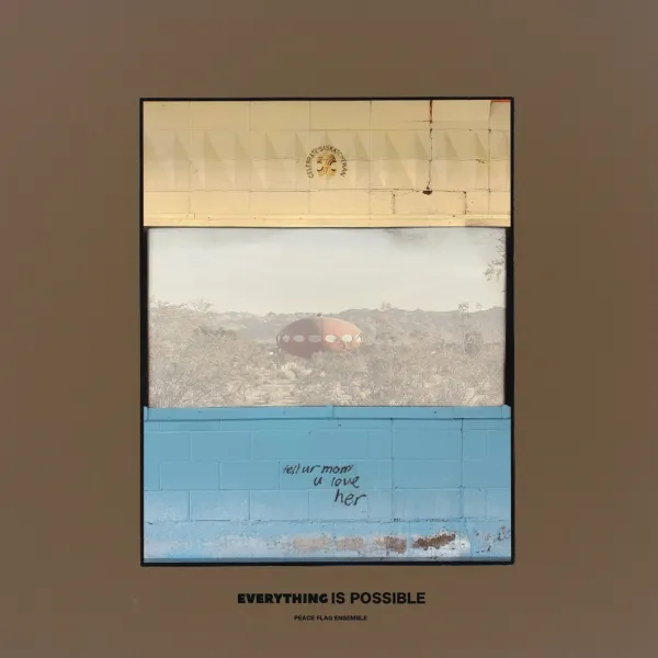 PEACE FLAG ENSEMBLE - EVERYTHING IS POSSIBLE (CD)