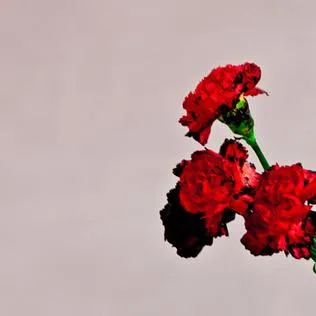 John Legend – Love In The Future (CD)