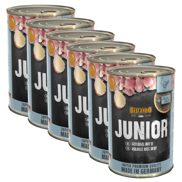 BELCANDO Junior - Hydina s vajcom - 6 x 400g