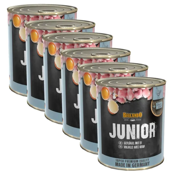 BELCANDO Junior - Hydina s vajcom - 6 x 800g