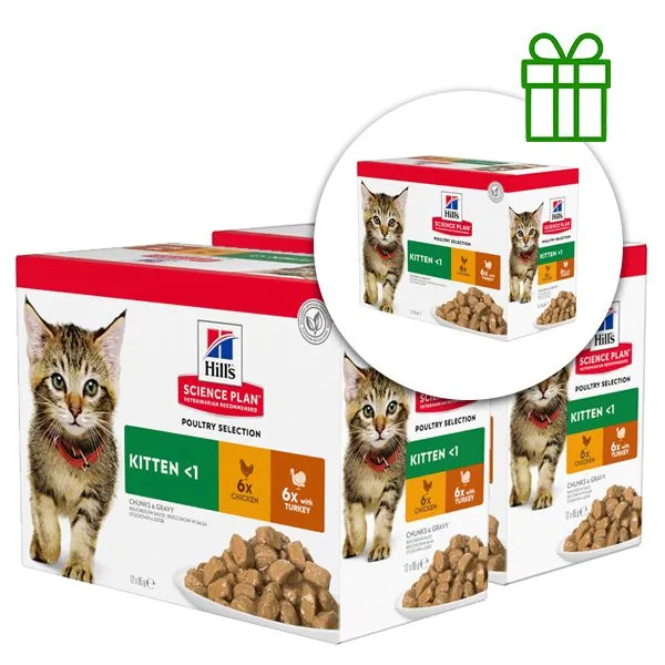 Hill's Science Plan Feline Kitten Chicken & Turkey 12 x 85 g, 2+1 ZADARMO