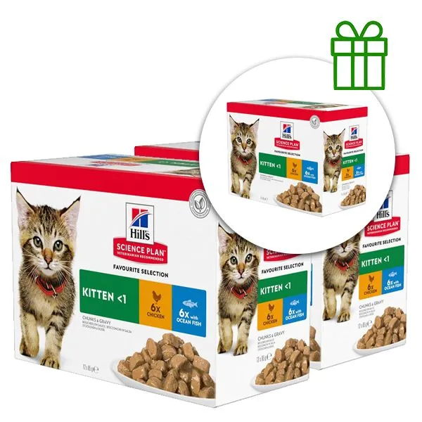 Hill's Science Plan Feline Kitten Chicken & Ocean Fish 12 x 85 g, 2+1 ZADARMO