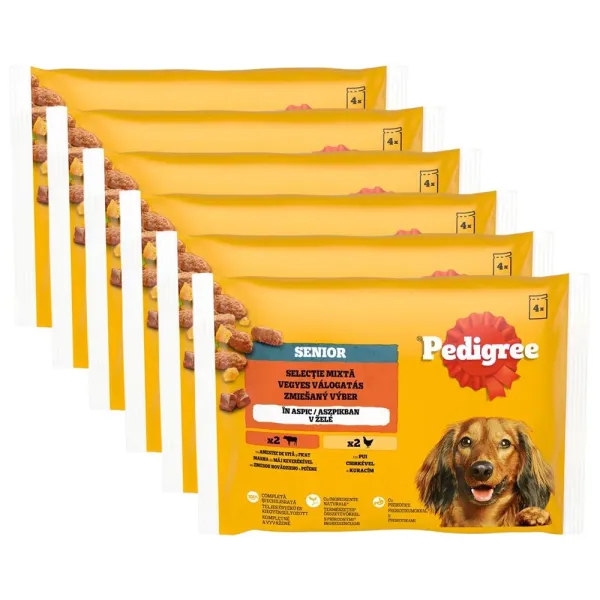 Pedigree Senior Zmiešaný výber v želé 6 x (4 x 100 g)