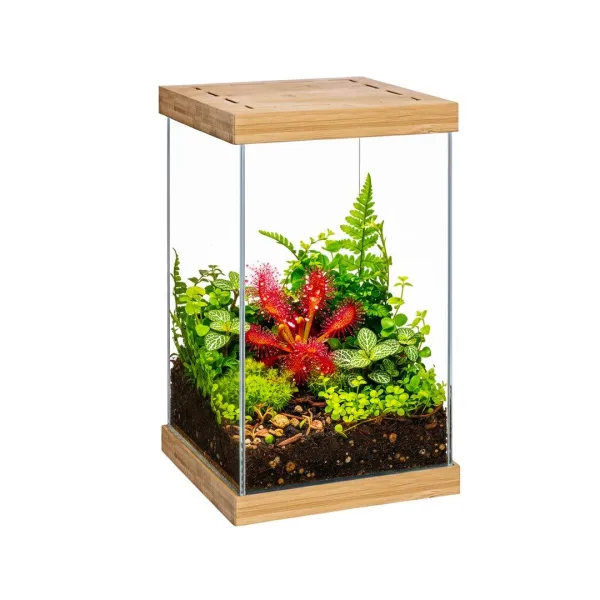 Mini terárium AQUAEL SELVA