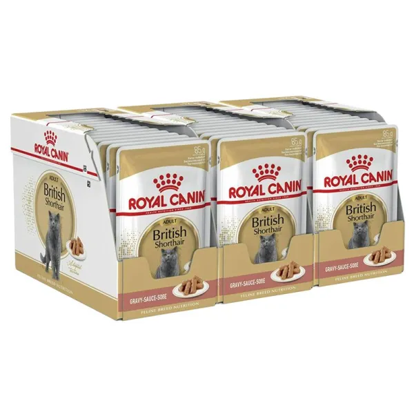 Royal Canin British Shorthair kapsička pre britské krátkosrsté mačky v šťave, 36 x 85 g
