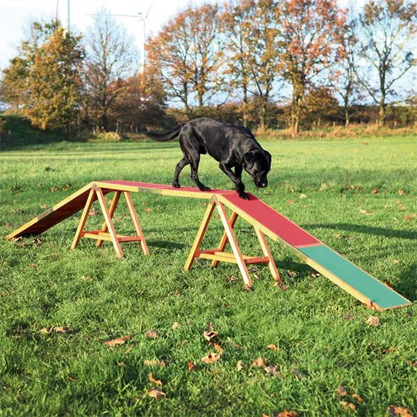 Agility prekážka pre psy, kladina Dog Activity 456 x 64 x 30cm