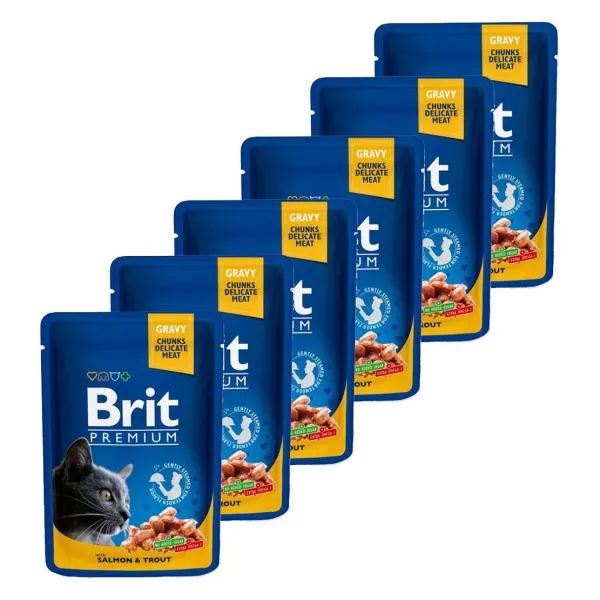 Kapsička BRIT Premium Cat Salmon & Trout 6 x 100 g