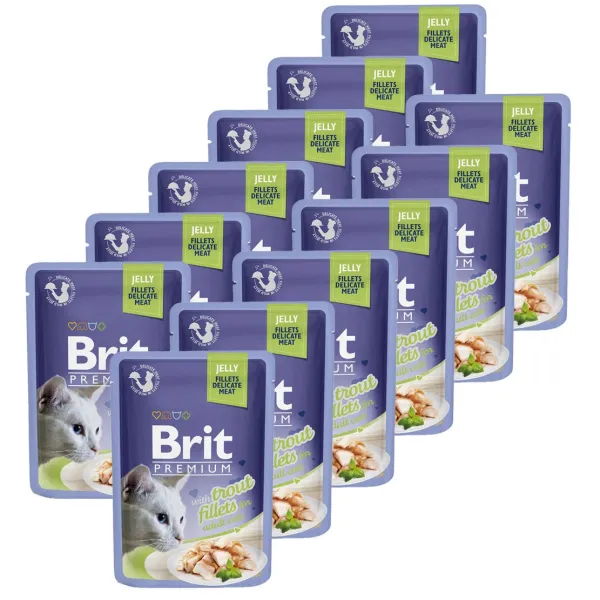 Kapsička BRIT Premium Cat Trout in Jelly 12 x 85 g
