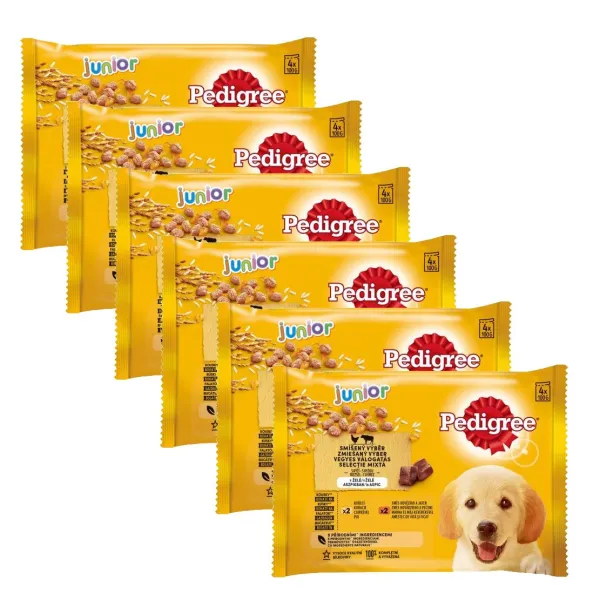 Pedigree Junior kapsičky v želé 6 x (4 x 100 g)
