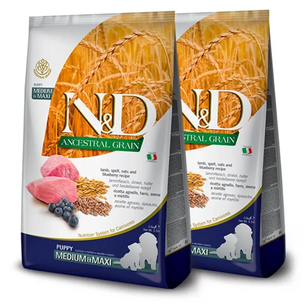 Farmina N&D dog LG PUPPY MEDIUM & MAXI Lamb & Blueberry 2 x 12 kg