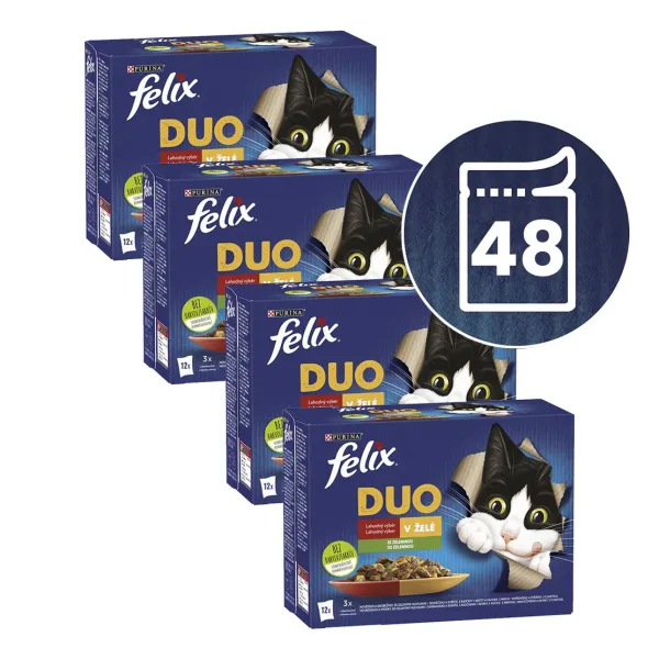 Felix Fantastic DUO kapsičky pre mačky hovädzie a hydina, jahňacie a kura, morka a kačica, bravčové a divina 48x85 g