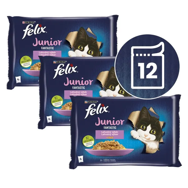 Felix Fantastic Junior kapsičky pre mačiatka kura, losos v želé 12x85 g