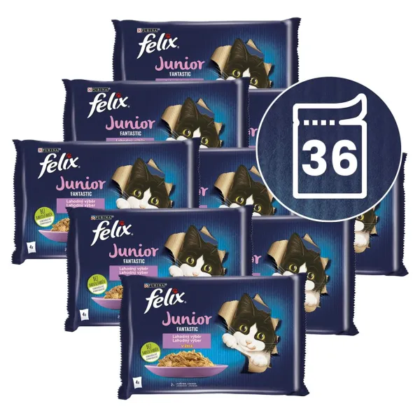 Felix Fantastic Junior kapsičky pre mačiatka kura, losos v želé 36x85 g
