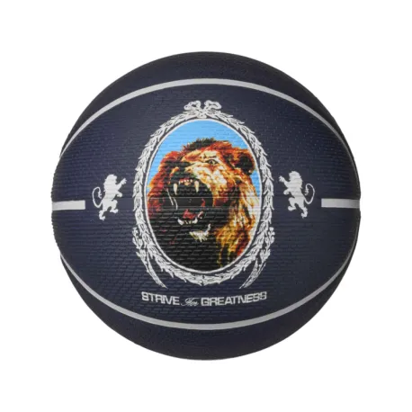 Basketbalová lopta NIKE LEBRON PLGRD 07 PI PH BK PH