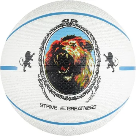 Basketbalová lopta NIKE LEBRON PLGRD 07 PH UB BK UB