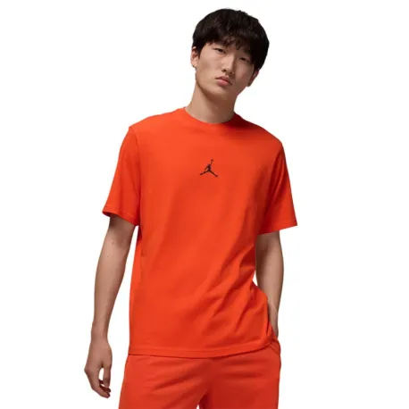 Pánske tréningové tričko s krátkym rukávom NIKE JORDAN M DF SPRT JDN SS CREW