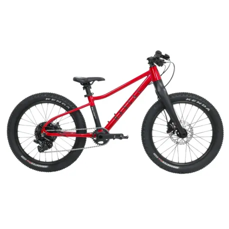 Detský horský bicykel RASCAL Wild 20, ruby red