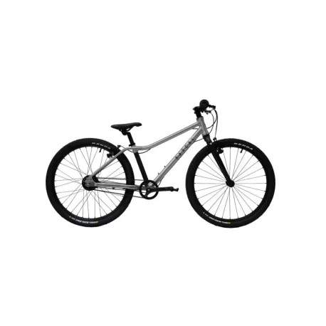 Juniorský horský bicykel RASCAL 24 Nexus, titanium