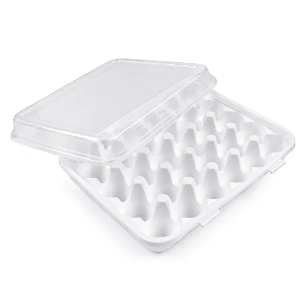 Plastart Plastový box na vajcia s vekom a klipmi 30ks, 12561