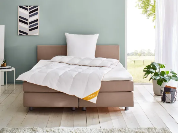 Balette deLuxe Gänsedaunen-Kassettenbettdecke Gold-Edition medium (155 x 220 cm)