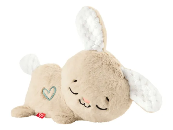 FISHER-PRICE Uuspávacie zvieratko »Uspávací koala / Soothe & Settle Bunny«