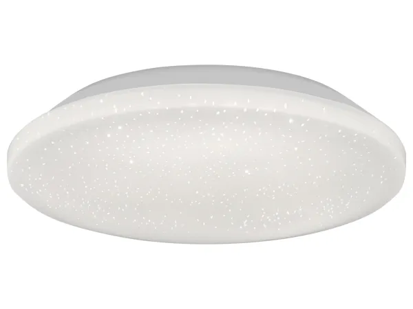 LIVARNO® LED nástenné a stropné svietidlo (okrúhly)