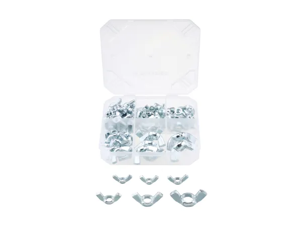 PARKSIDE® Krídlové matice/Závrtné skrutky/Závlačky/Klince (76-dielna súprava)
