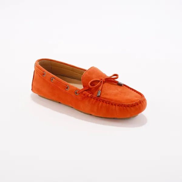 Derbies na kline