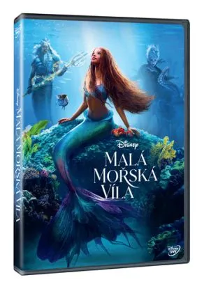 Malá mořská víla DVD