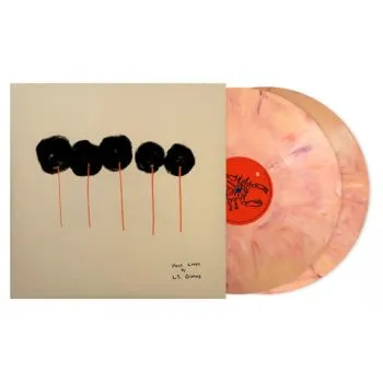 L. S. Dunes - Past Lives (Deluxe Edition) 2LP - L.S. Dunes