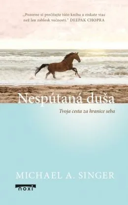 Nespútaná duša - Michael A. Singer