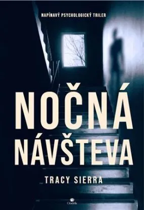 Nočná návšteva - Tracy Sierra