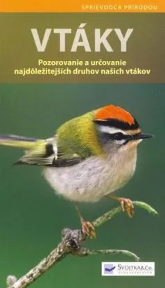 Vtáky - Angelika Lang