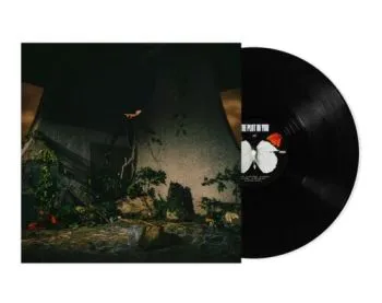 Plot in You, The - The Plot In You LP - The Plot In You
