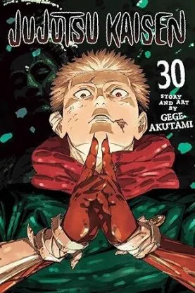 Jujutsu Kaisen, Vol. 30 - Gege Akutami, Gege Akutami