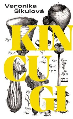 Kincugi - Veronika Šikulová